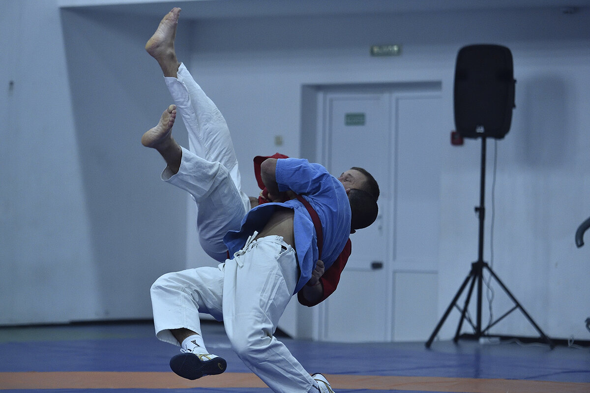 Борьба на поясах - Александр Гриднев Борьба на поясах - Александр Гриднев