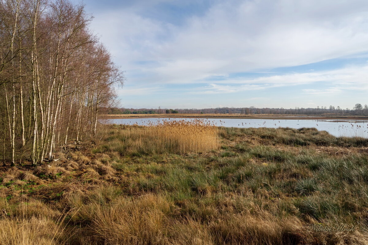 Заповедное место... - Николай Гирш Заповедное место... - Николай Гирш