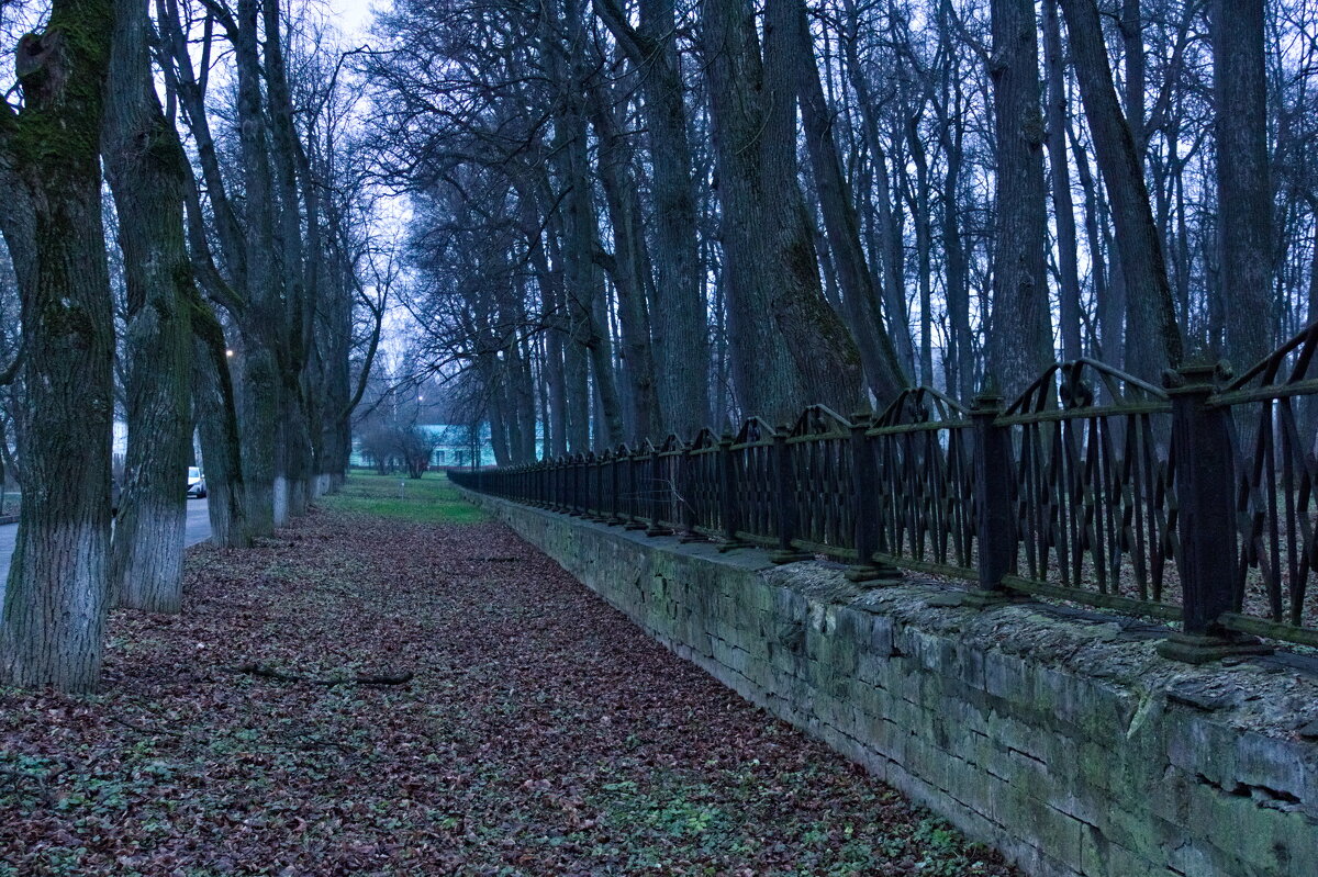 Аллея в Дубровицах - Артём Аллея в Дубровицах - Артём