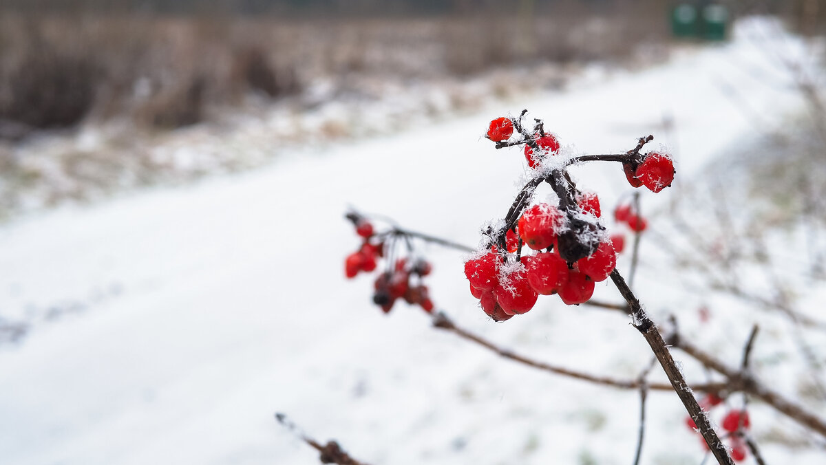 ***** - юрий поляков ***** - юрий поляков