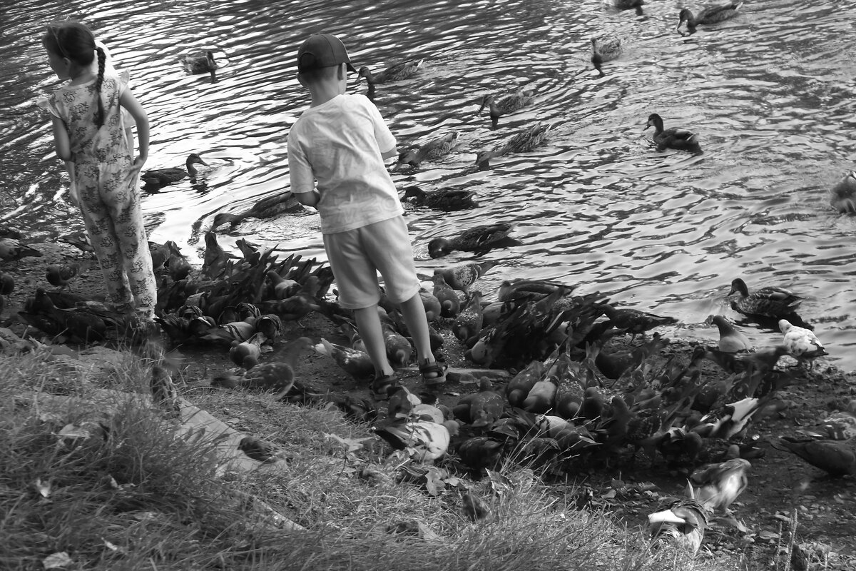 Кормовая база. - Сергей Сергеев