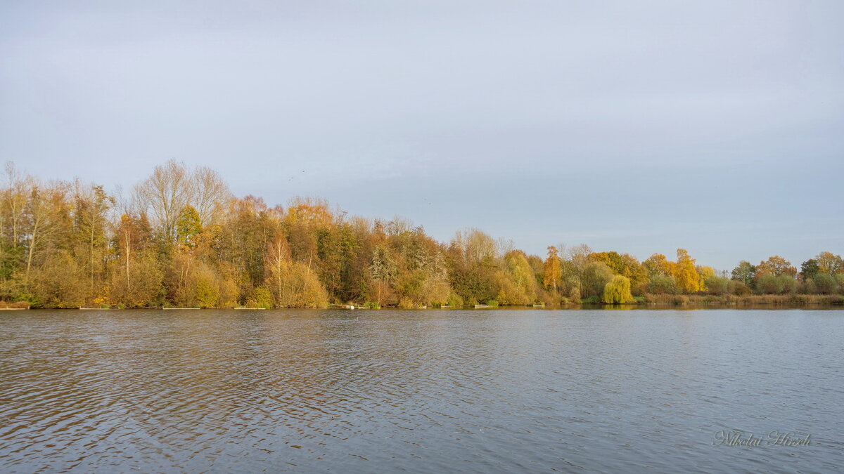 *** - Николай Гирш *** - Николай Гирш