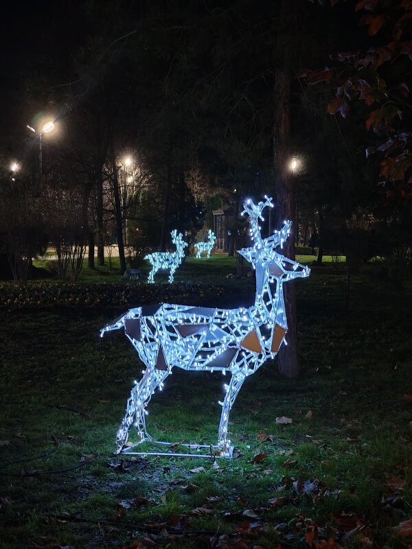 Светящиеся олени в парке ... - tatyana 