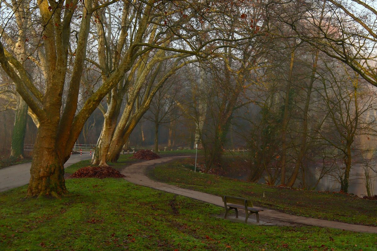 Декабрь,рассвет - Юрий. Шмаков