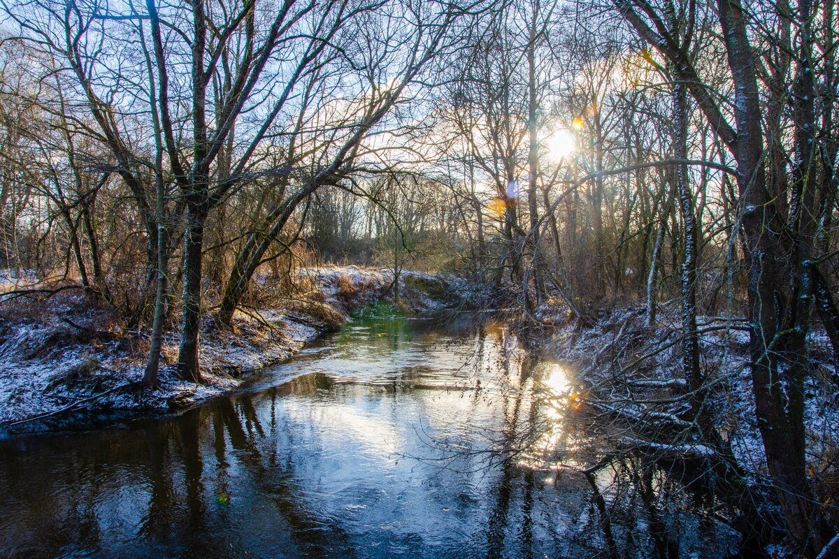 ____ - Галина Ложечникова