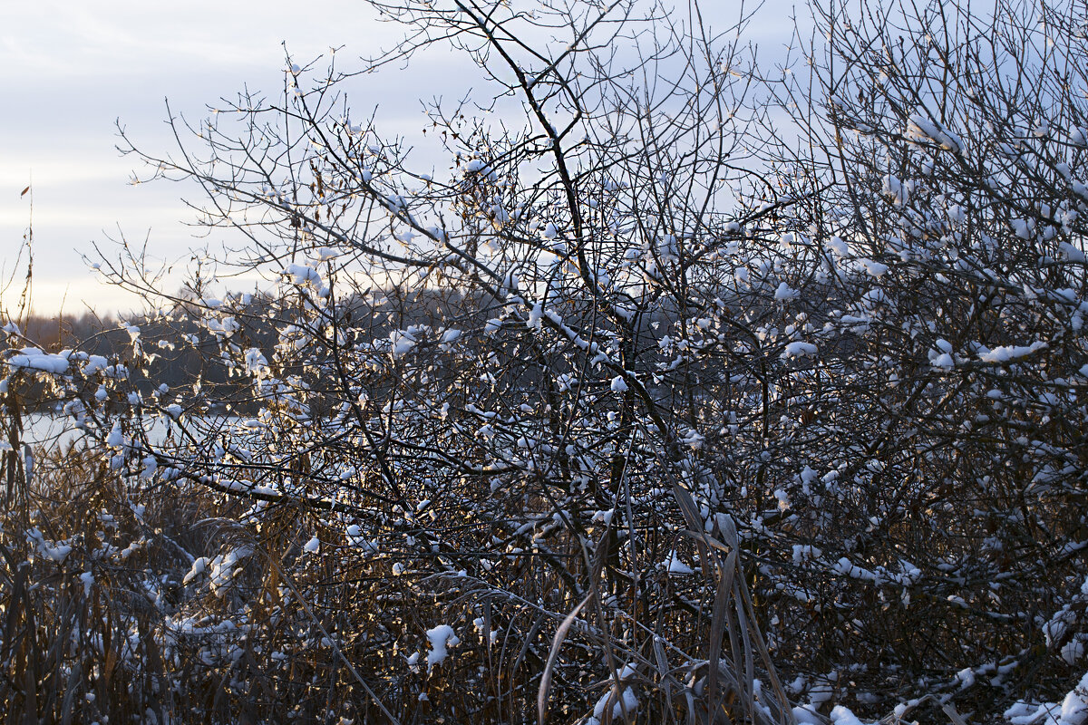 * - Сергей Цветков