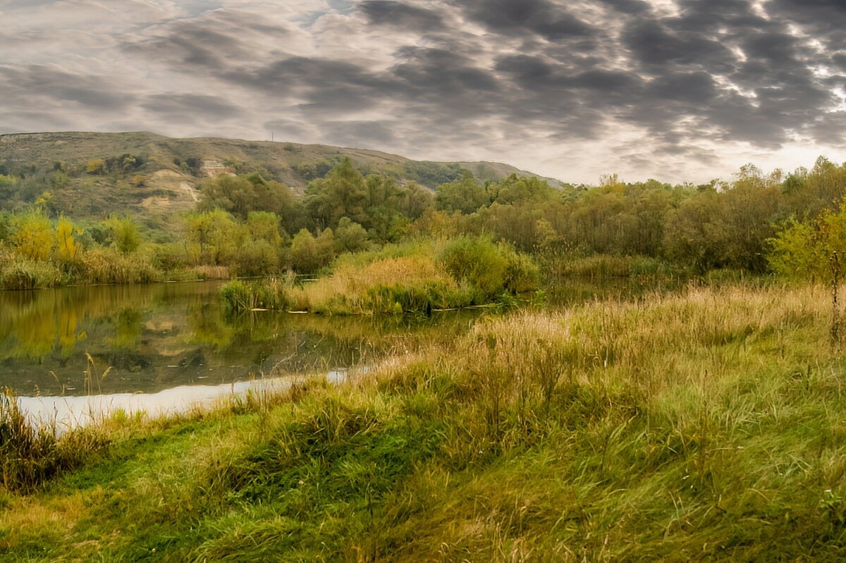 Рыба тут не клюет - Игорь Сикорский