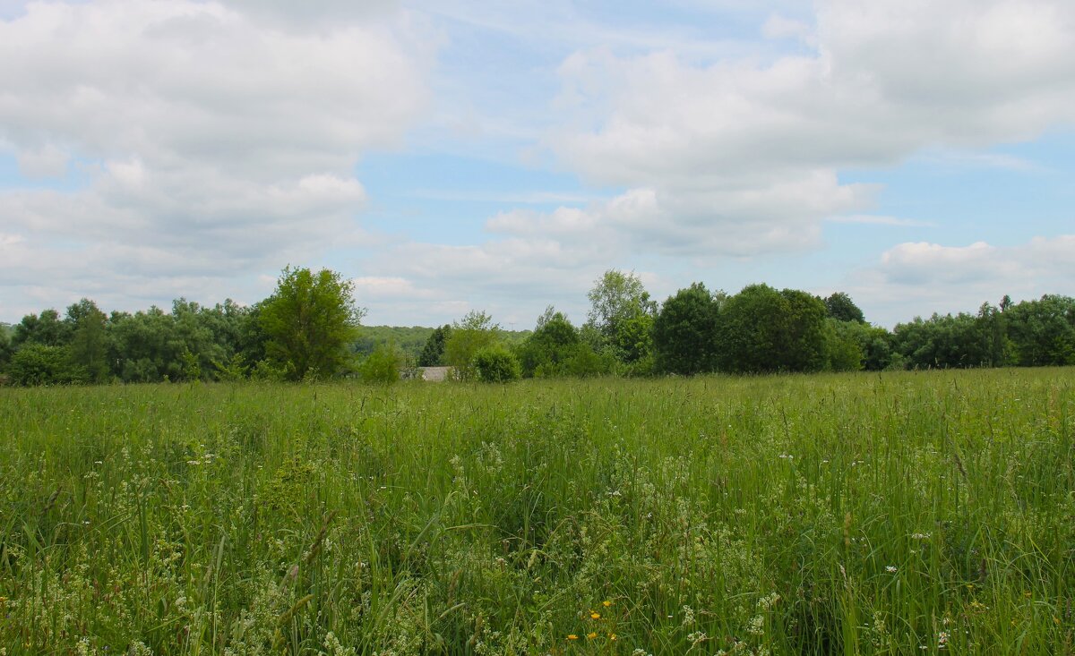 ЛЕТНИЙ ИЮНЬСКИЙ ДЕНЬ - Валентина 