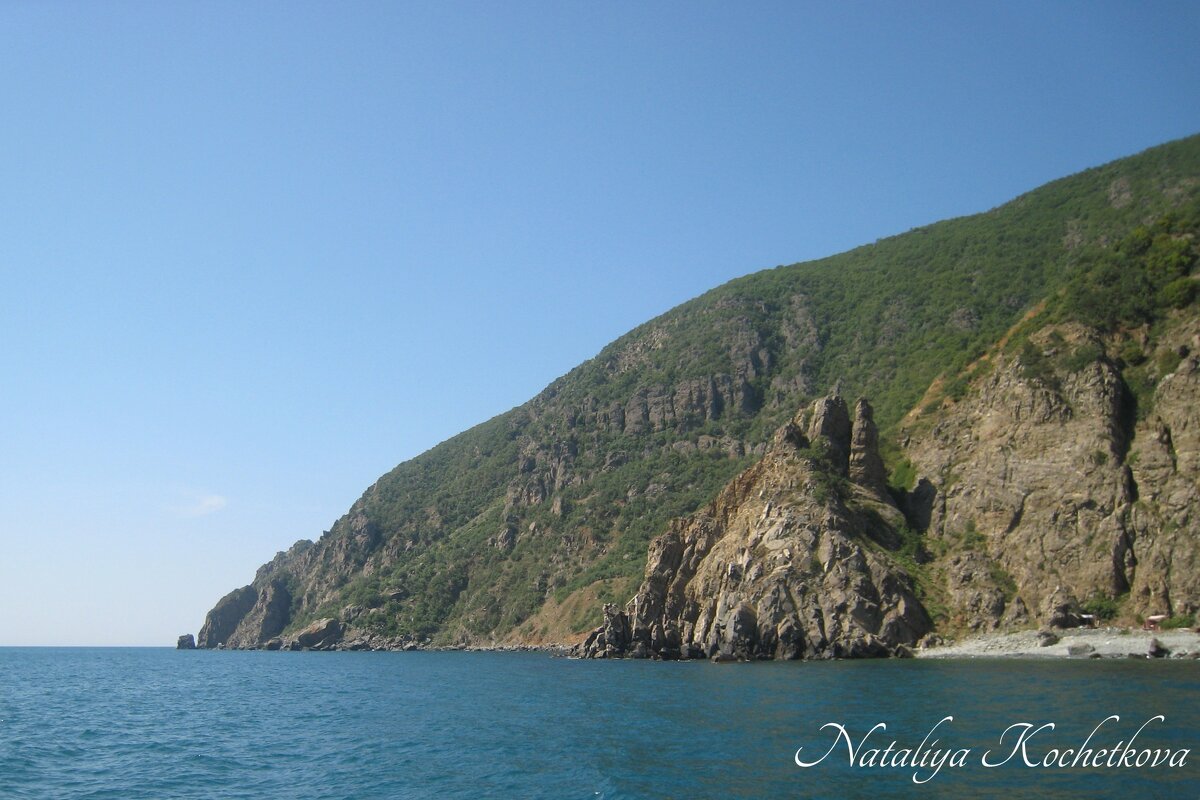 Природа Крыма - Amazing Cosmea