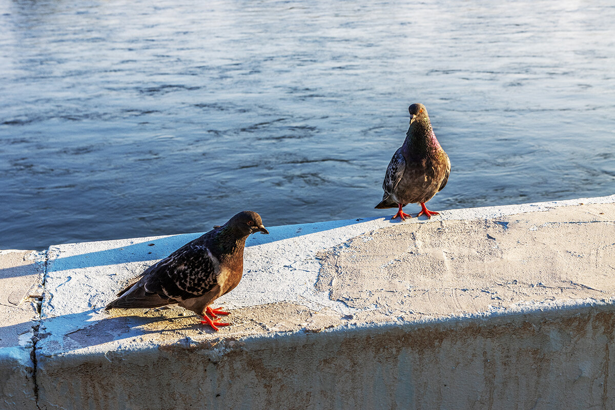 Усть-Каменогорск - Дмитрий 