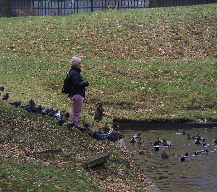 Медитация - Магомед . Медитация - Магомед .