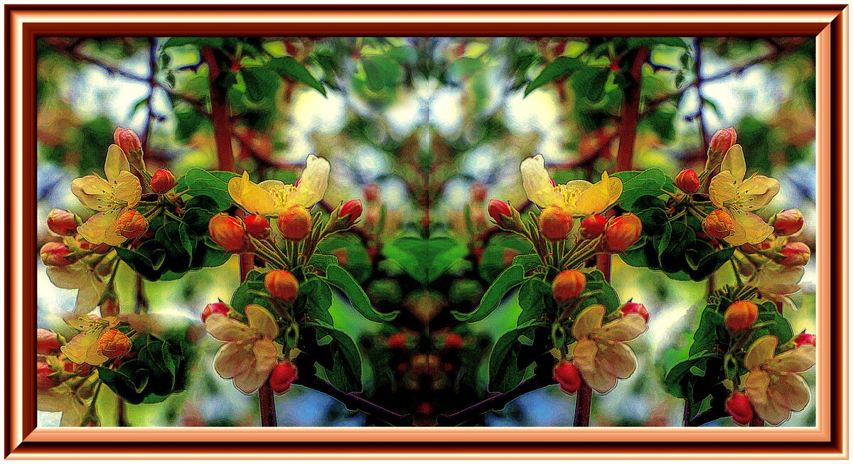 Цветение - Владимир Кроливец