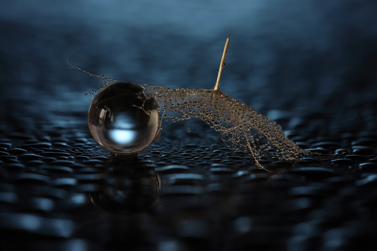 Под зонтиком - Игорь Шевченко