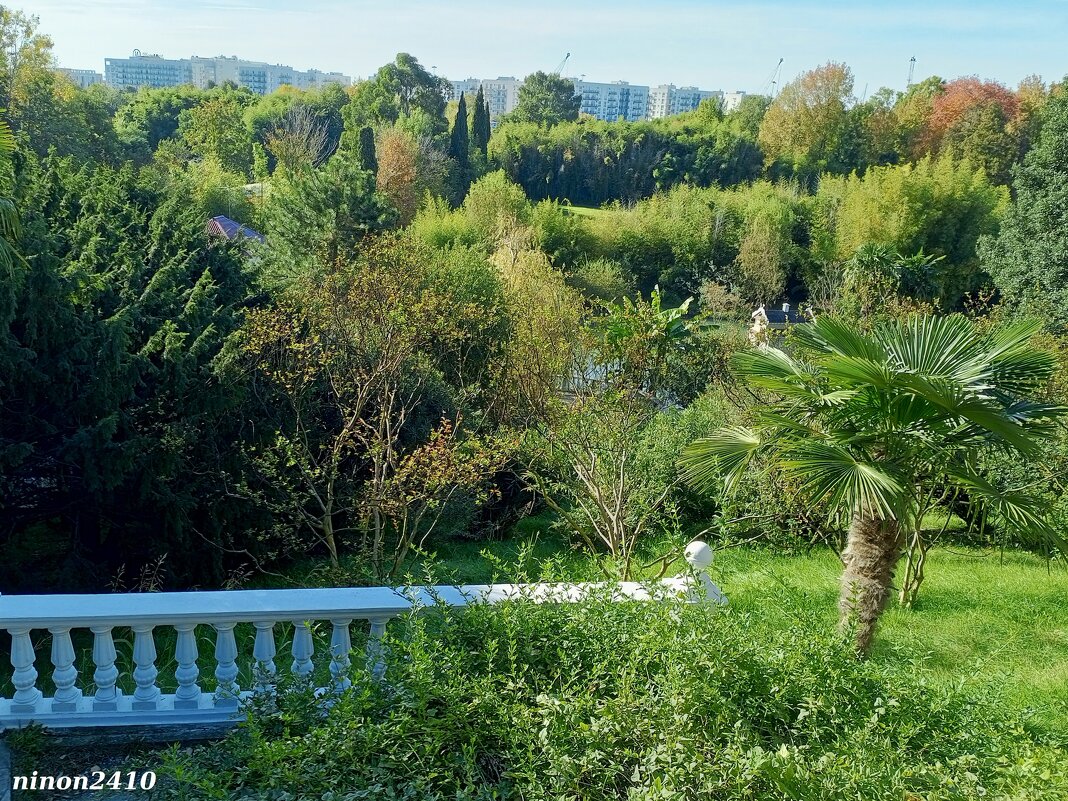 Адлер. Дендропарк "Южные культуры" - Нина Бутко Адлер. Дендропарк "Южные культуры" - Нина Бутко