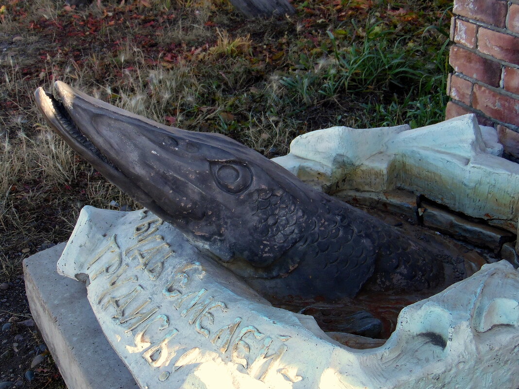 Щука из сказки. - nadyasilyuk Вознюк