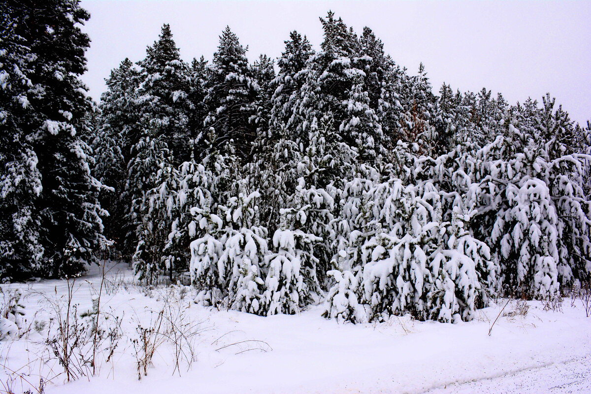 *** - Александр 