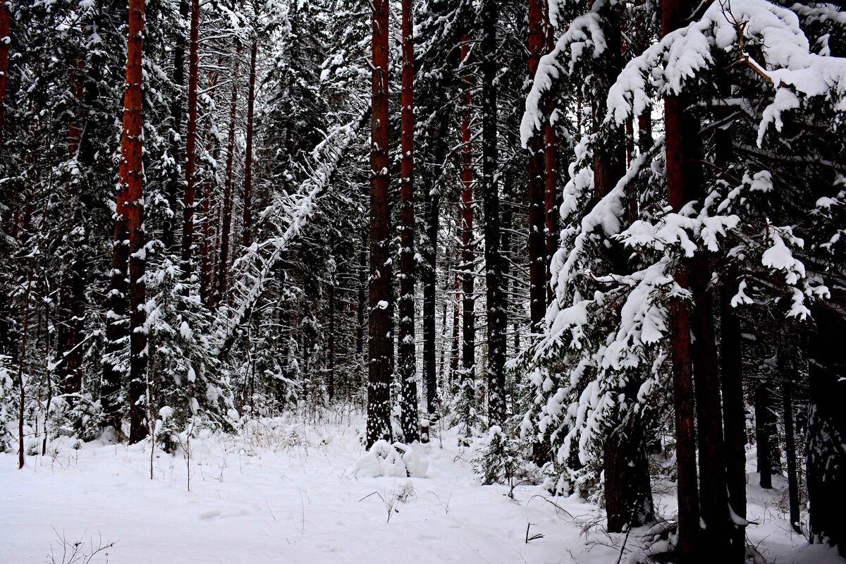 *** - Александр 