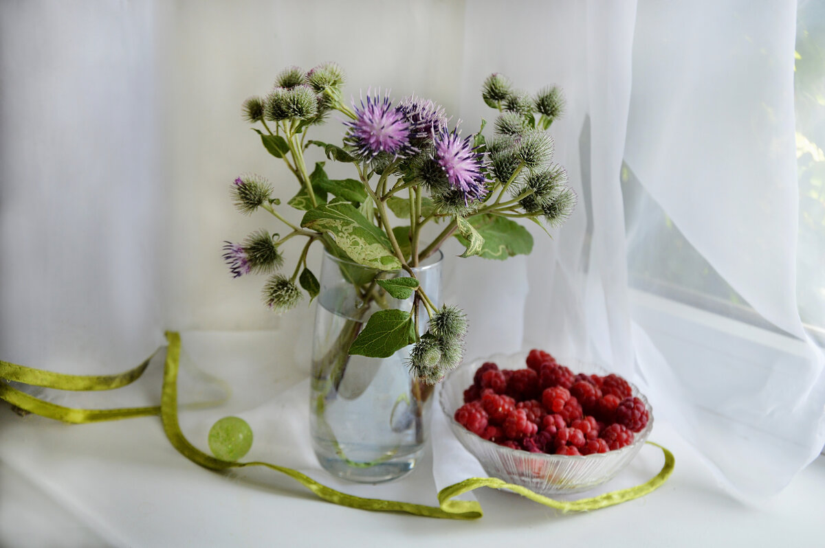 Соседство... - Надежда Куркина 