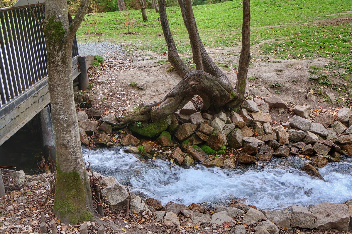 На голубых озерах - Irene Irene