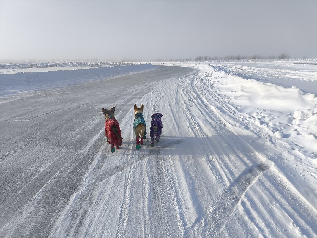 Дорога на озере - Anna Ivanova