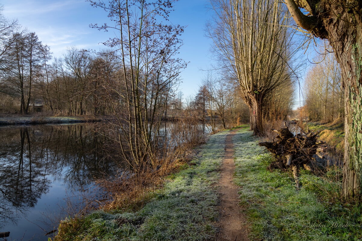 *** - Николай Гирш