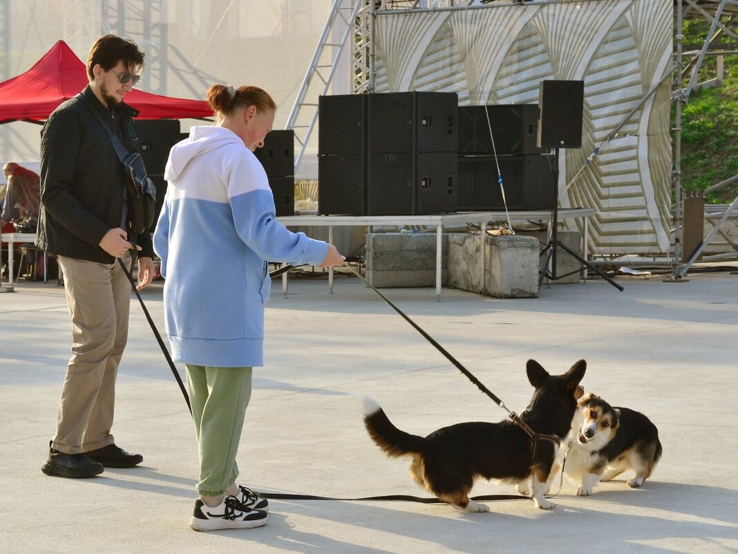 Общение - Александр Рыжов