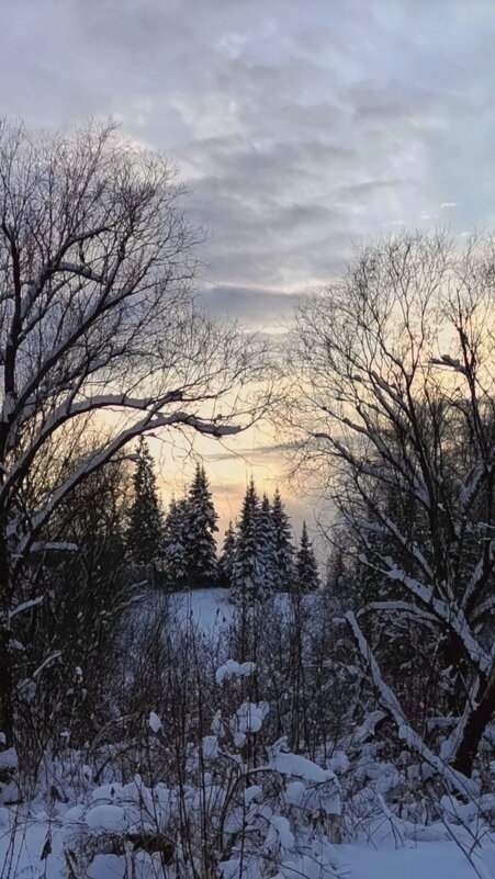 Природа лучший художник - Нина северянка