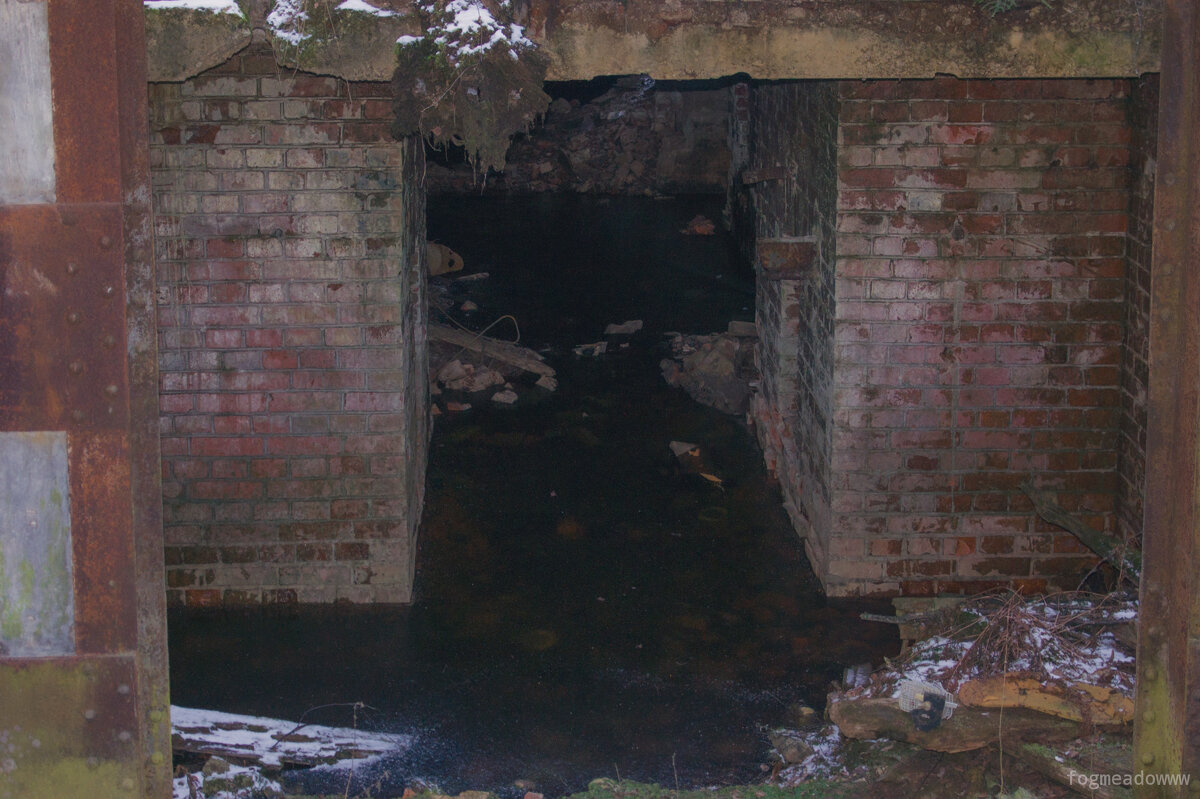 без названия - fogmeadowww m