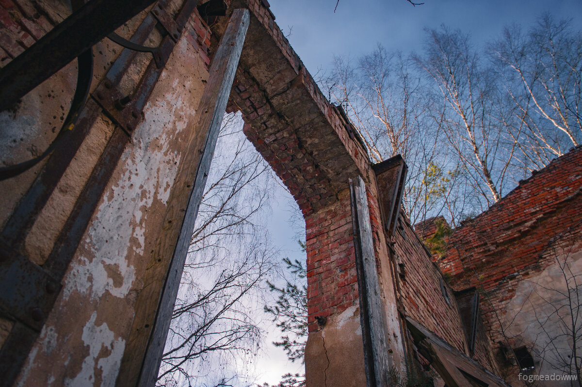 без названия - fogmeadowww m