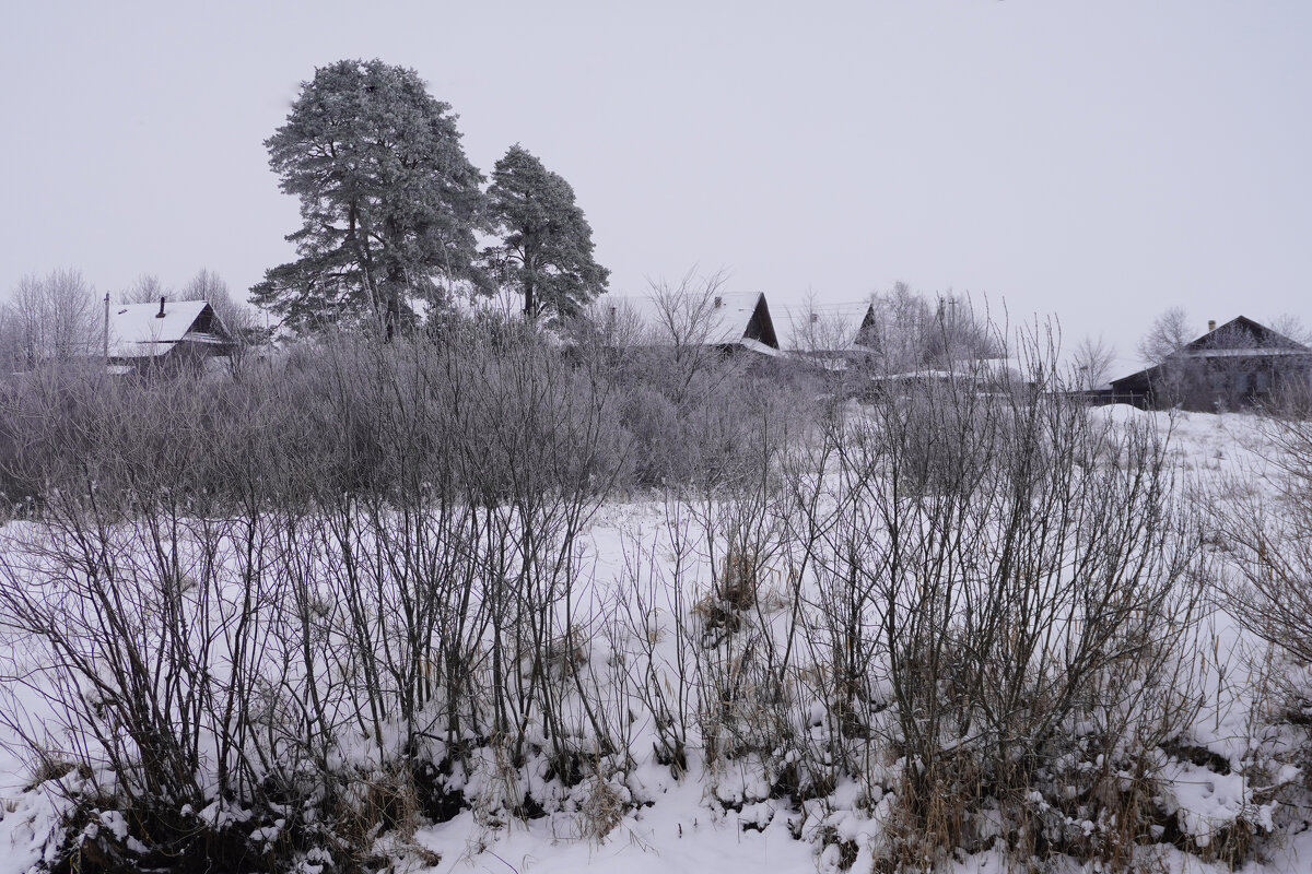 Сельский вид. - Сергей Ц Сельский вид. - Сергей Ц