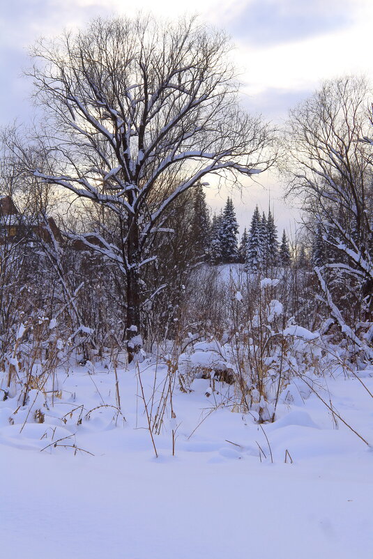 Графика зимы - Нина северянка Графика зимы - Нина северянка