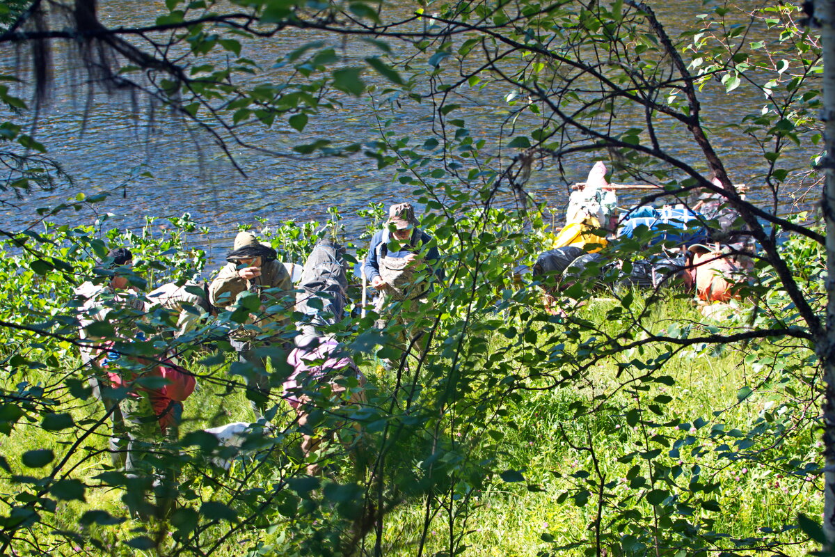 Внизу. - ВикТор Быстров