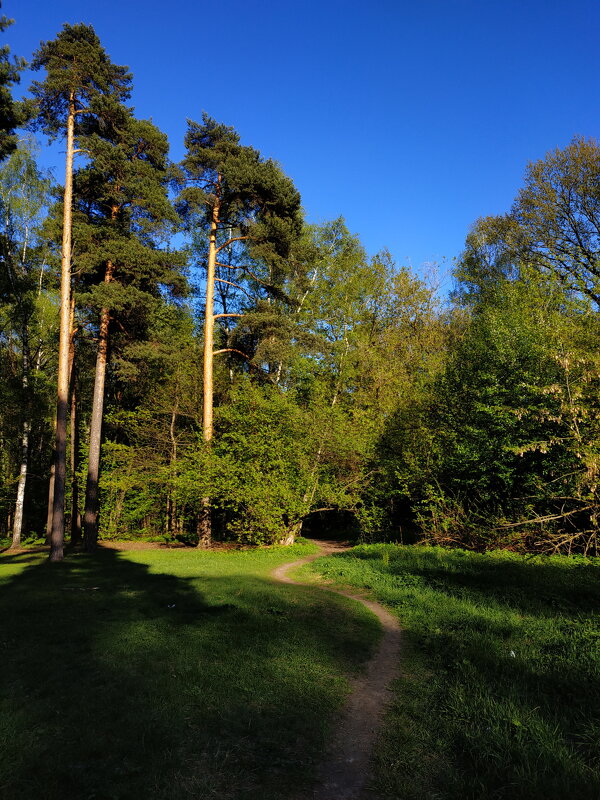 Мне всегда есть ЧТО вспомнить - Андрей Лукьянов