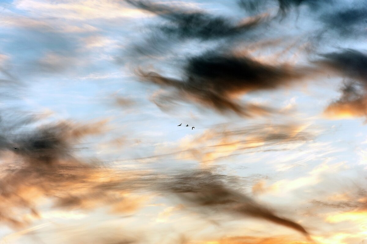 Полетели в тёплые края - Валерий Иванович