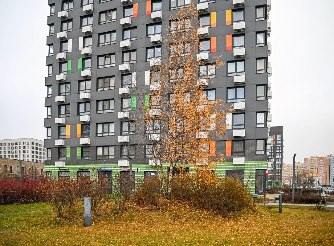 11 дней до Нового года - Валерий Иванович