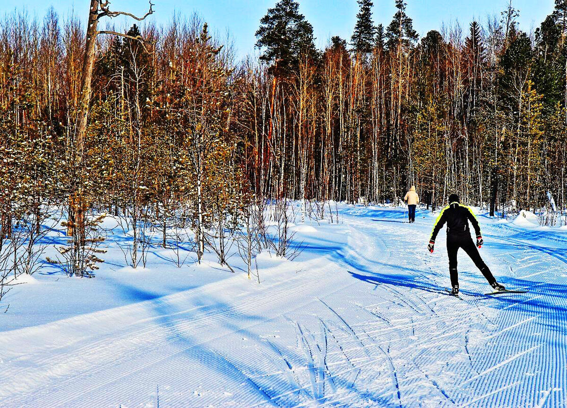 Январь...Лыжня- это  и спорт, и и прогулки! - Владимир 
