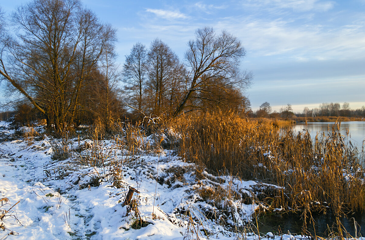 На берегу - Сергей Цветков