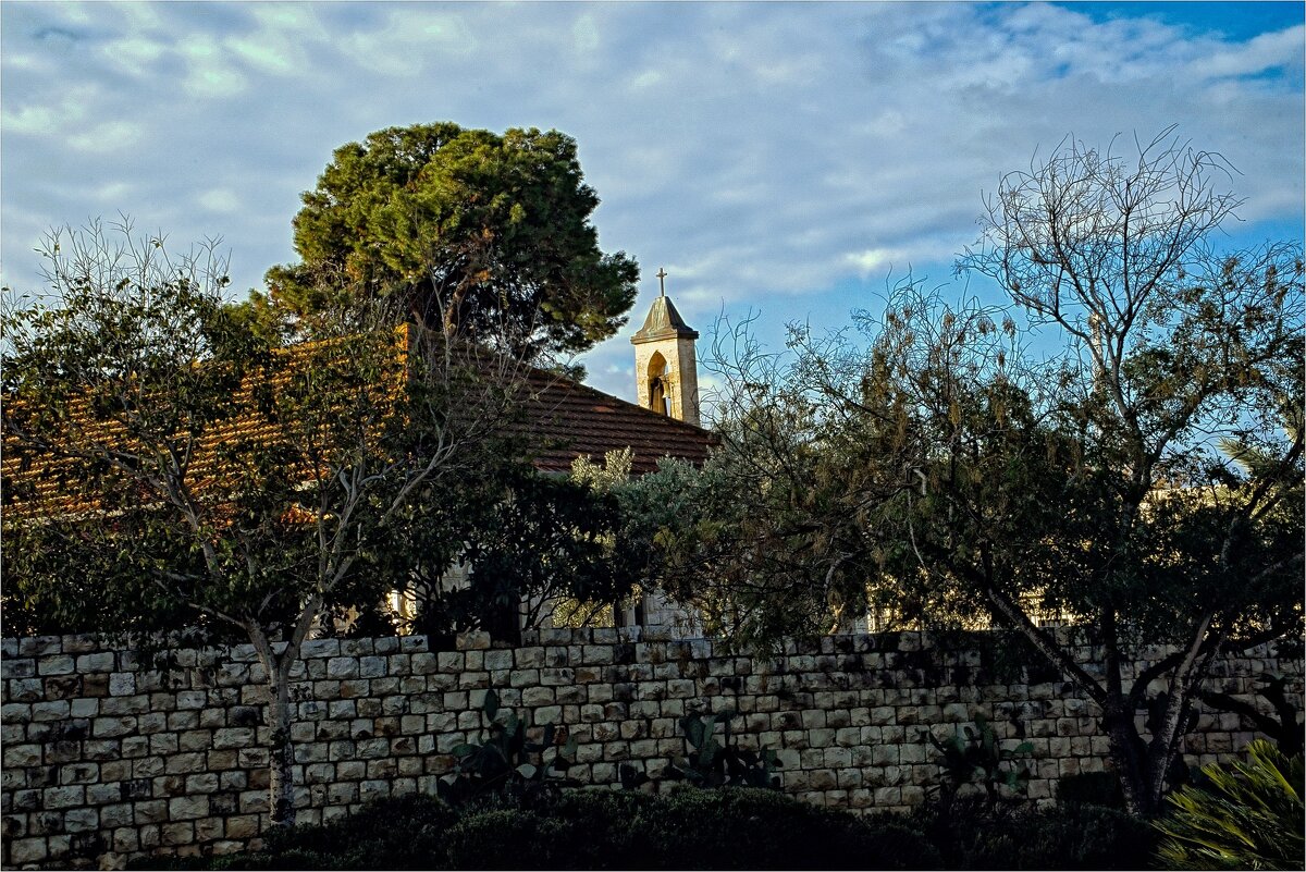 Мигдаль аЭмек ,2025г - ujgcvbif 