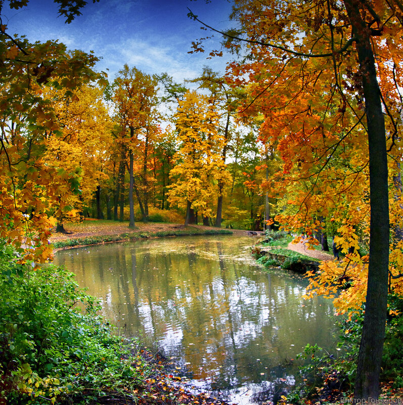 осень, Санкт Петербург - Laryan1 