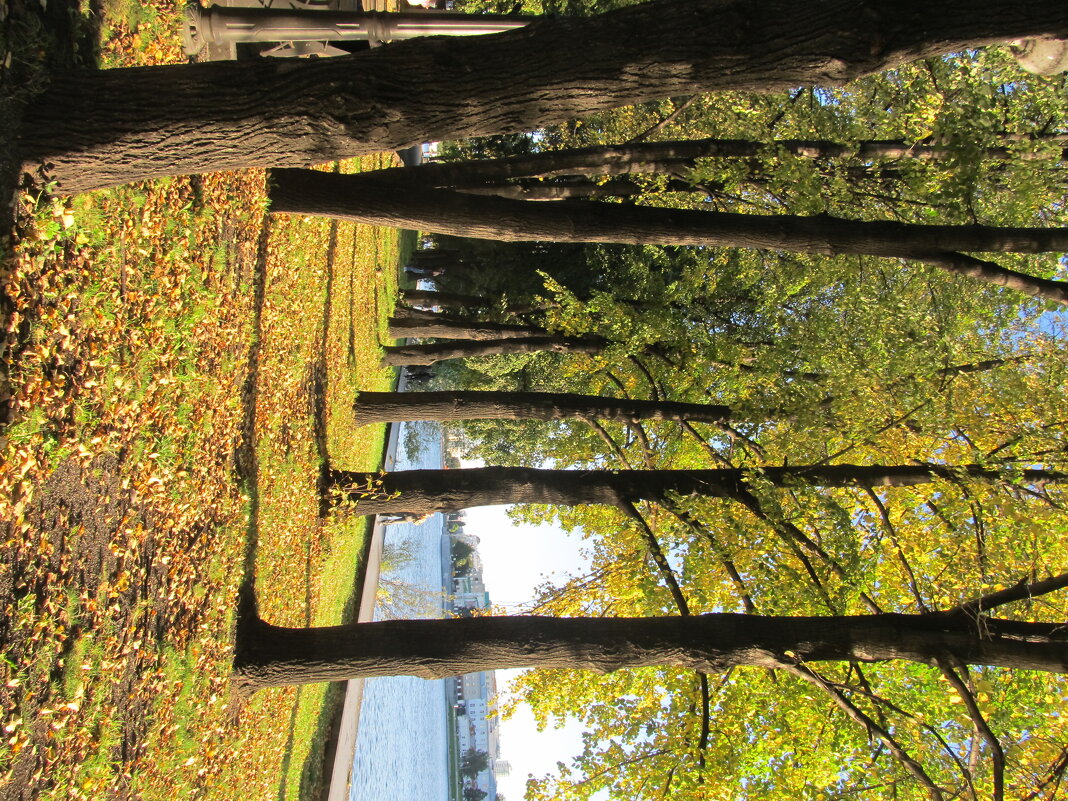 на набережной - Елена Шаламова