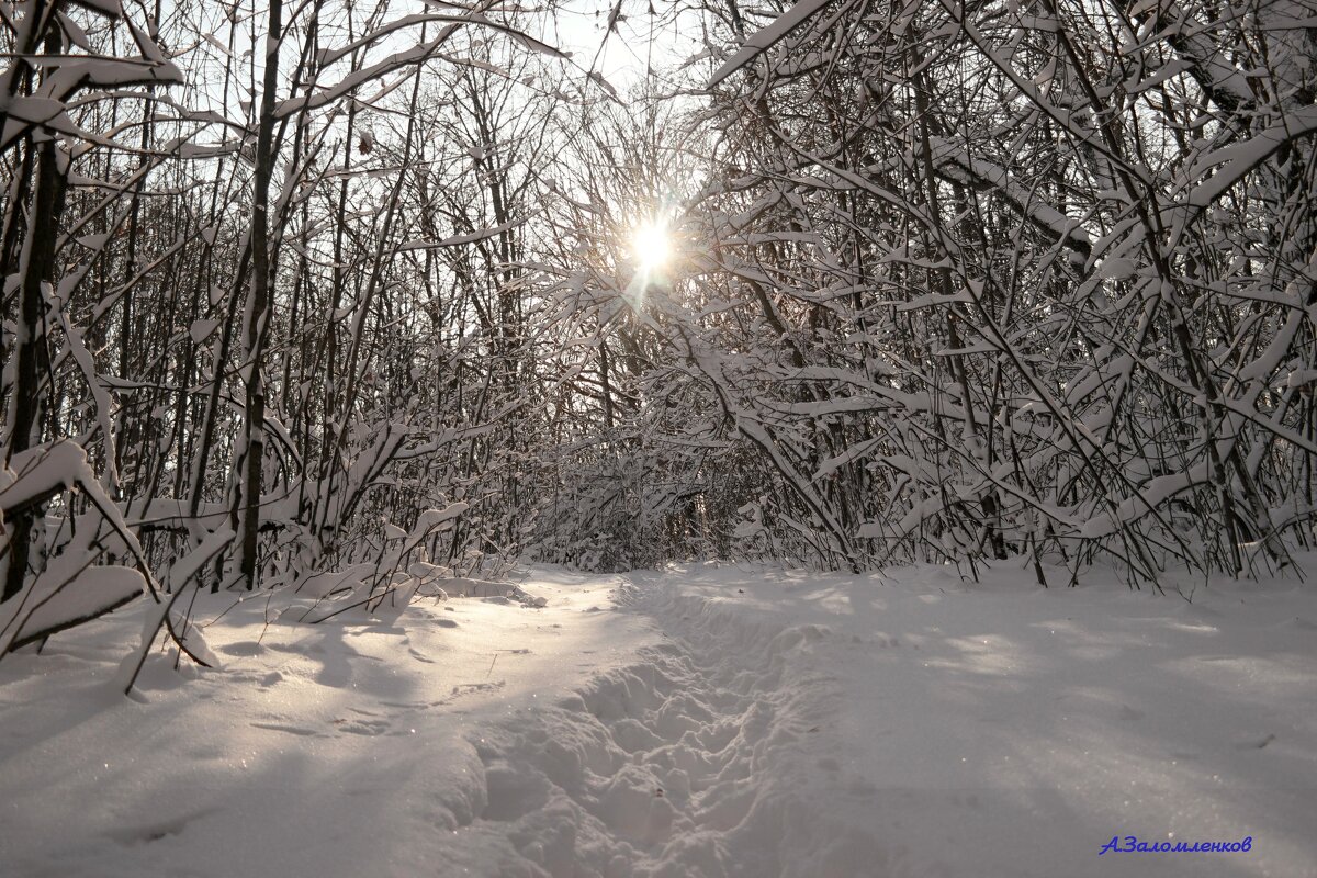 Скоро день уже начнёт прибавляться! - Андрей Заломленков