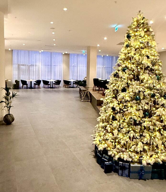 «Добро пожаловать в Веницианов»!» - Арина Невская «Добро пожаловать в Веницианов»!» - Арина Невская