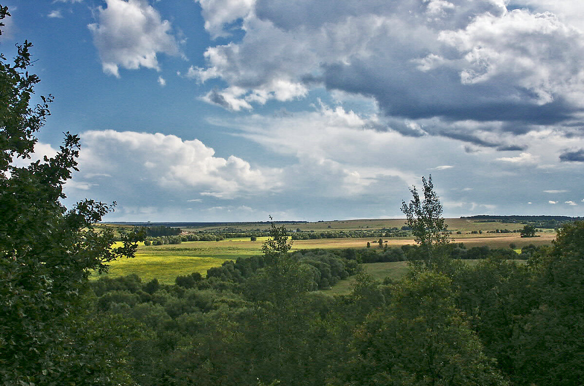 Калужские просторы - MILAV V