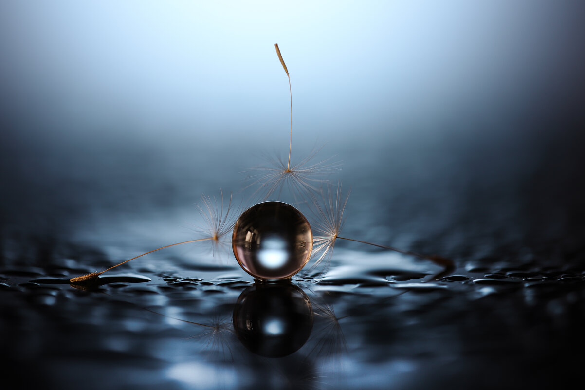 Вопрос баланса - Игорь Шевченко