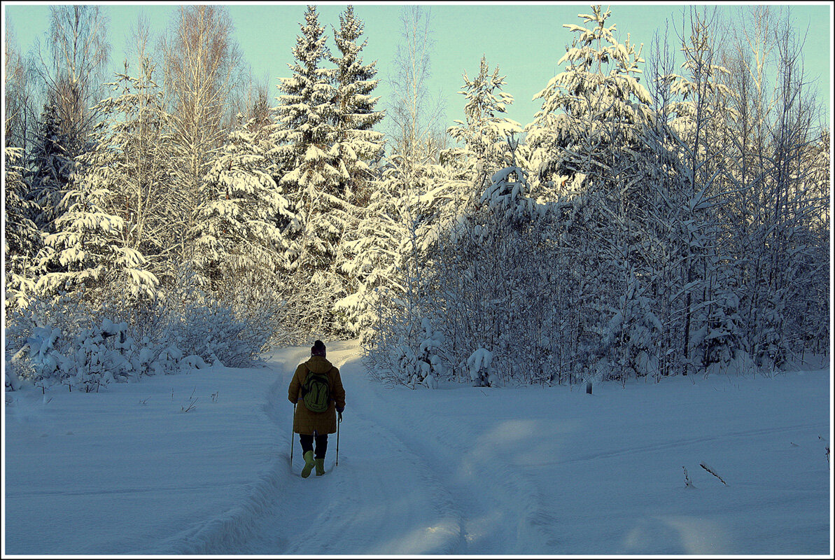 Когда зима не идет к нам ,мы идем к ней - Aleksandr Gal