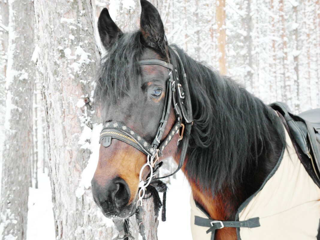 ожидание - Владимир 