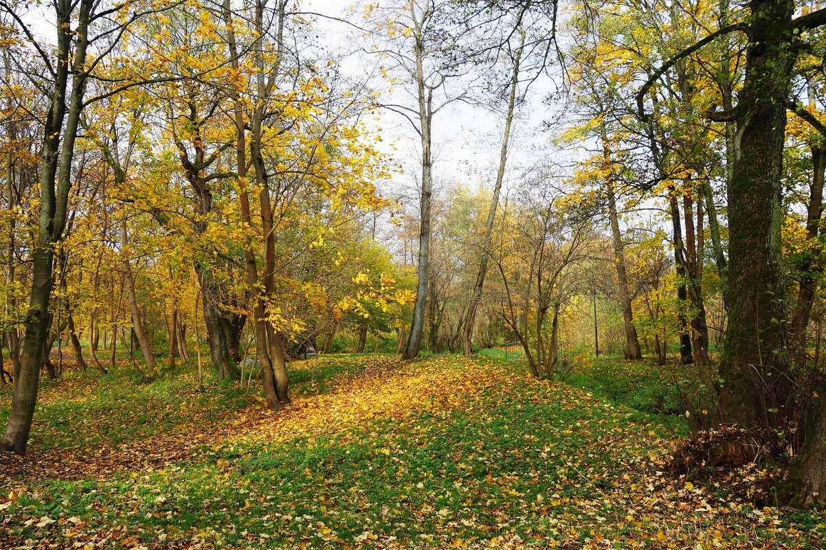 Ашманн парк, Калининград - Рита Симонова