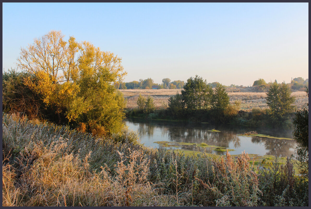 Дон. - Александр. AVG100 ---