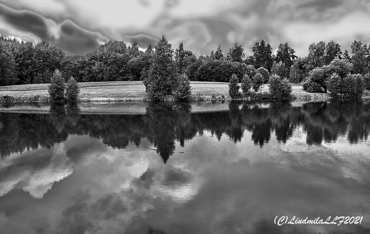 Чёрно-белое фото - Liudmila LLF
