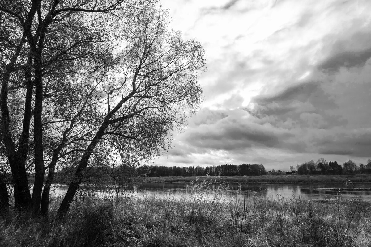 Б/Н - Николай 